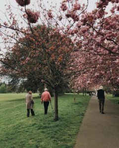 Group of seniors enjoying outdoor activities for healthy weight loss for seniors